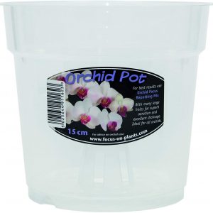 Clear Orchid Pot 15 cm