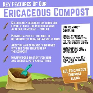 YouGarden Ericaceous Compost 60L Bag for Acid Loving Plants