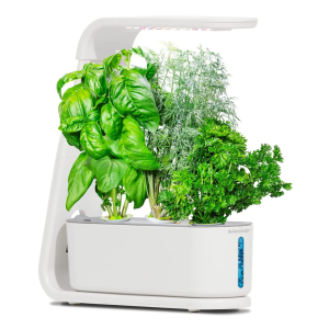 AeroGarden Sprout with Gourmet Herbs Seed Pod Kit – Hydroponic Indoor Garden, White