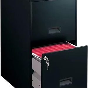 Filing Cabinet 2-Drawer Steel File Cabinet with Lock, Black, NTT221