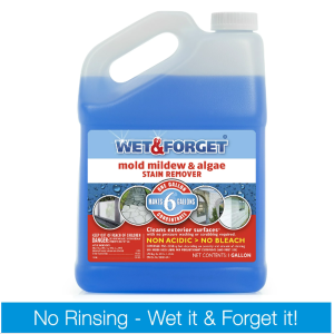 Wet & Forget Outdoor Mold, Mildew, and Algae Stain Remover